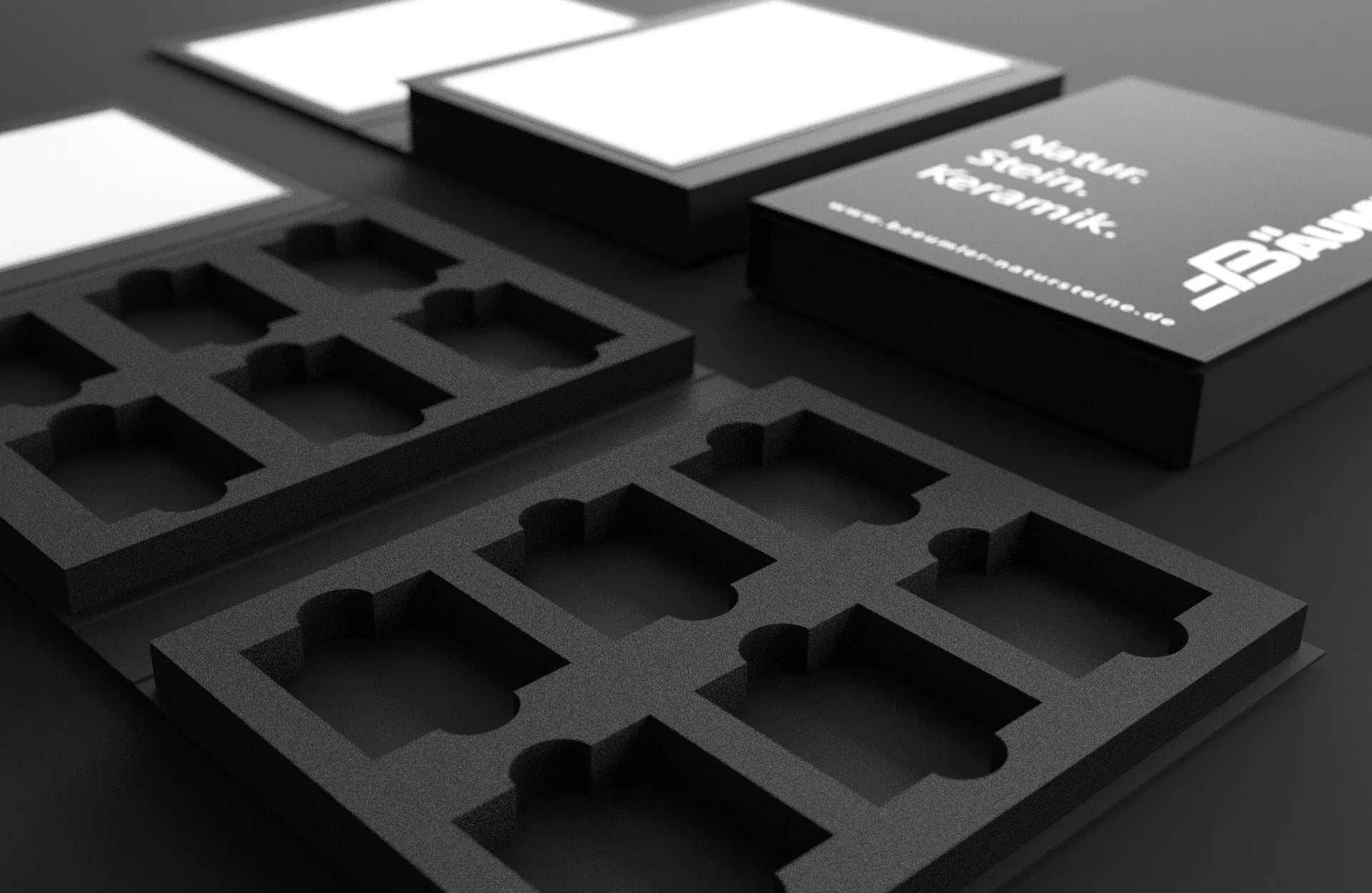 Sample Folders with custom foam inserts